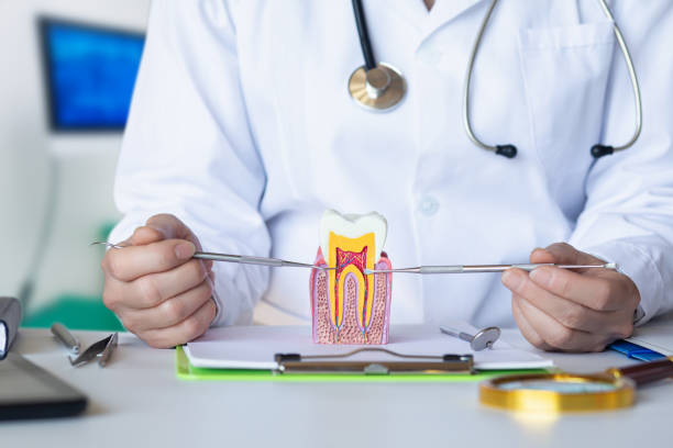 Best Emergency Root Canal Treatment in Mcgregor, FL